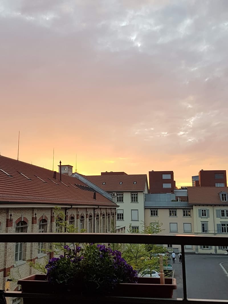 Bright 3.5-Room Apartment in Wallisellen / Zwicky Areal (4)