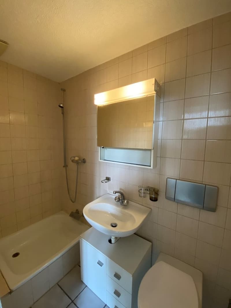 1 Zimmer Wohnung zentral in Zürich-Stadt (4)