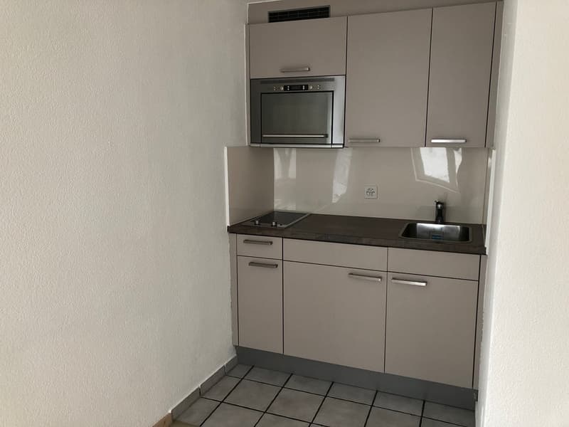 1 Zimmer Wohnung zentral in Zürich-Stadt (3)