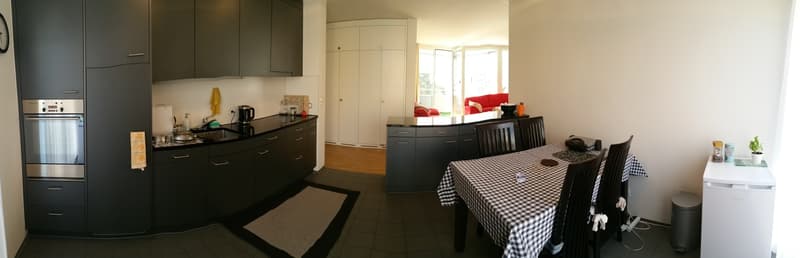 Bright Furnished Room with Private Bathroom in Modern 4.5-Room Apartment (6)
