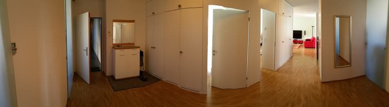 Bright Furnished Room with Private Bathroom in Modern 4.5-Room Apartment (5)