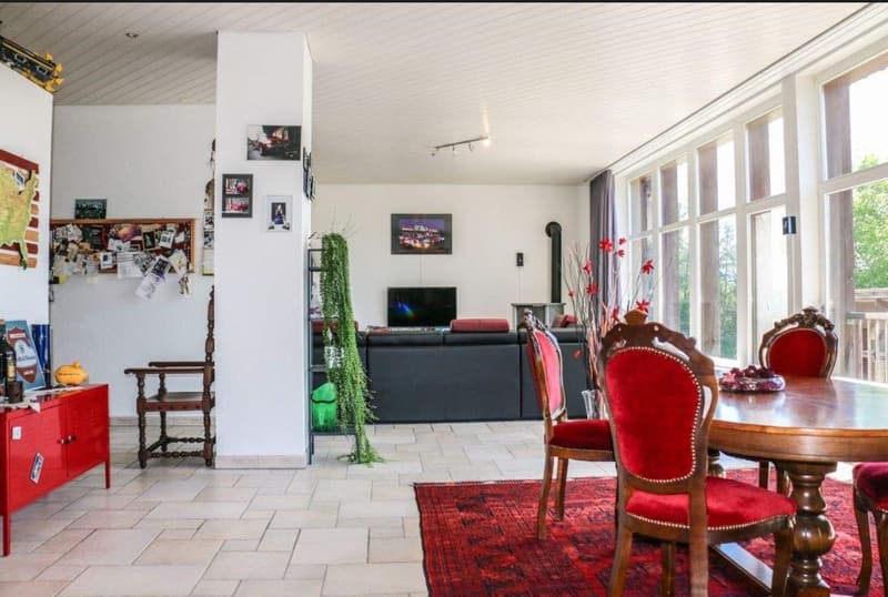 Ihre Traumwohnung 5.5 Zimmer Erdgeschoss 182 m2 (6)