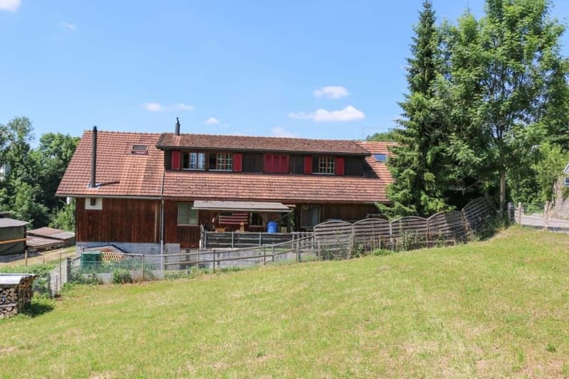 Ihre Traumwohnung 5.5 Zimmer Erdgeschoss 182 m2 (2)