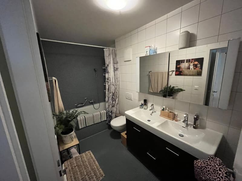 2 rooms apartment, 1092 Belmont sur Lausanne (1)