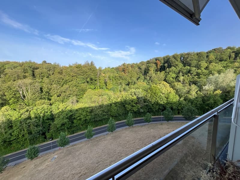 2 rooms apartment, 1092 Belmont sur Lausanne (12)