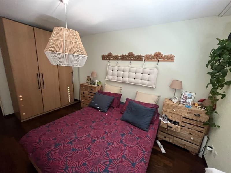 2 rooms apartment, 1092 Belmont sur Lausanne (11)