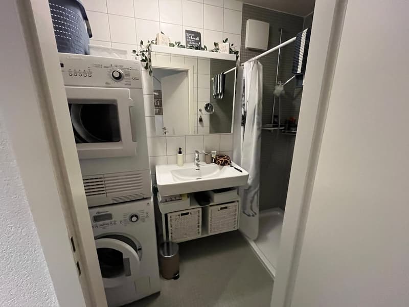 2 rooms apartment, 1092 Belmont sur Lausanne (9)