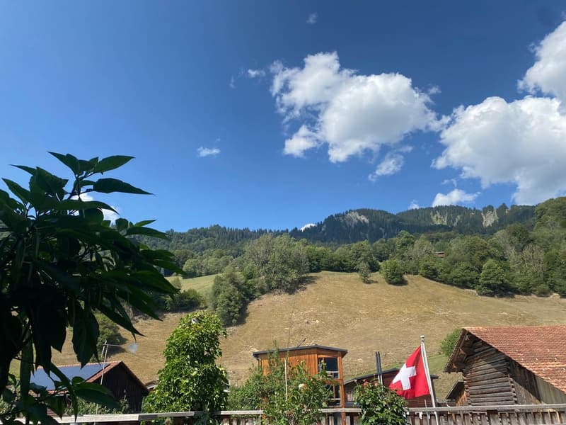 4½-Zimmer-Maisonette im Bergdorf Fanas (11)