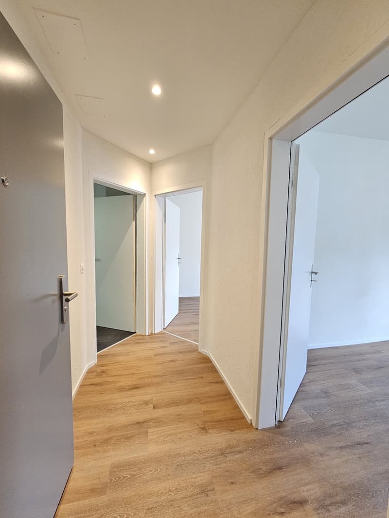 2.5 room flat in Wipkingen (3)