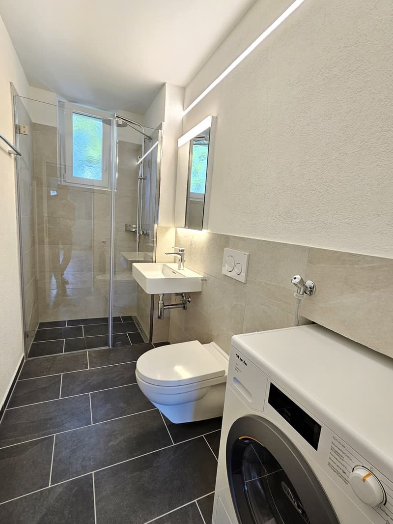 2.5 room flat in Wipkingen (5)