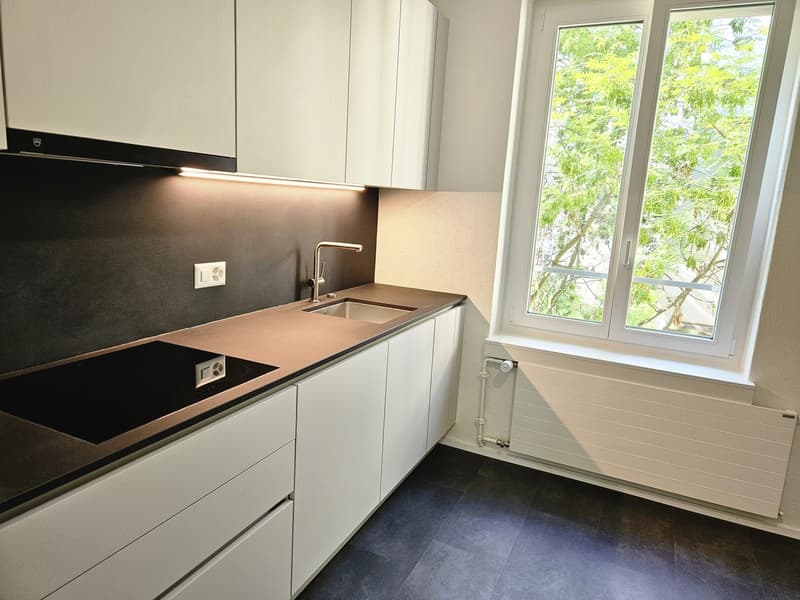 2.5 room flat in Wipkingen (1)