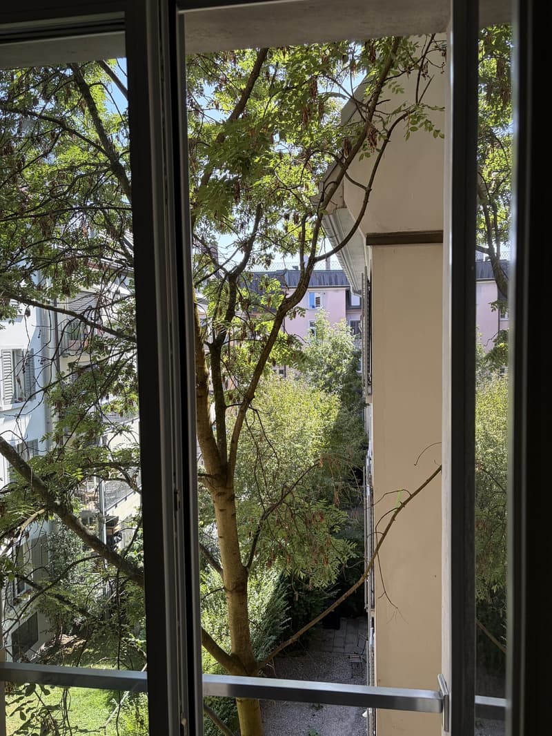 2.5 room flat in Wipkingen (2)