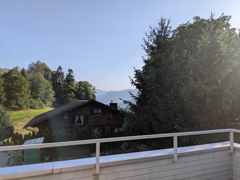 3.5-Zimmer Wohnung mit Garten und Terrasse in Ennetmoos (4)