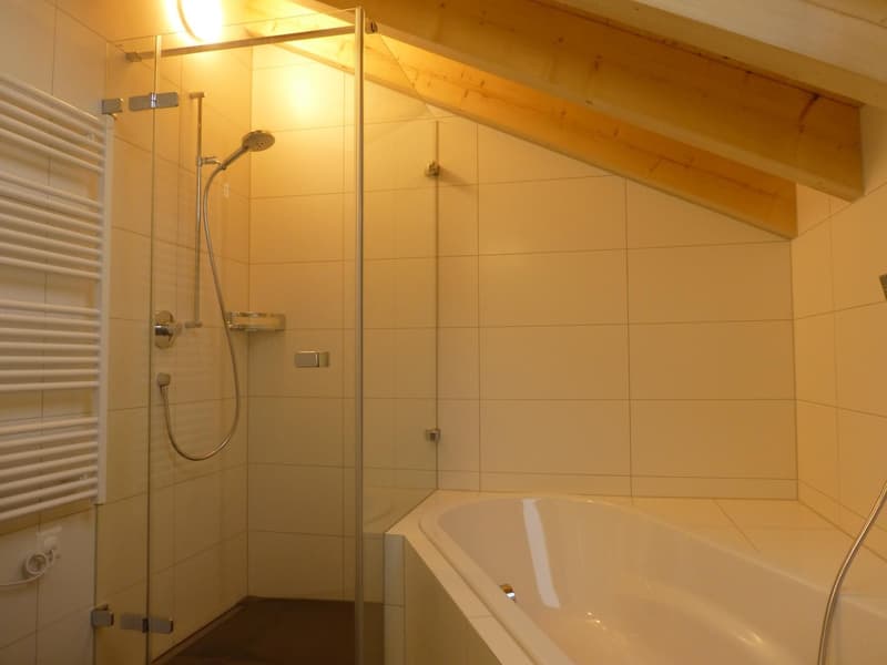 3.5-Zimmer Wohnung mit Garten und Terrasse in Ennetmoos (5)