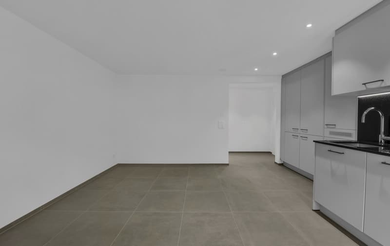 Nachmieter gesucht  1.5-Zimmer-Wohnung im Kreis 3 (4)