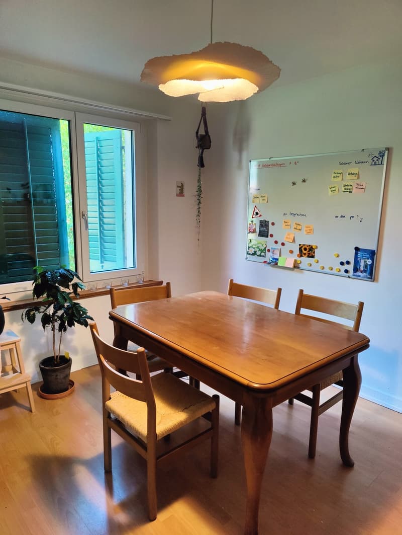 WG-Zimmer in Höngg (5)