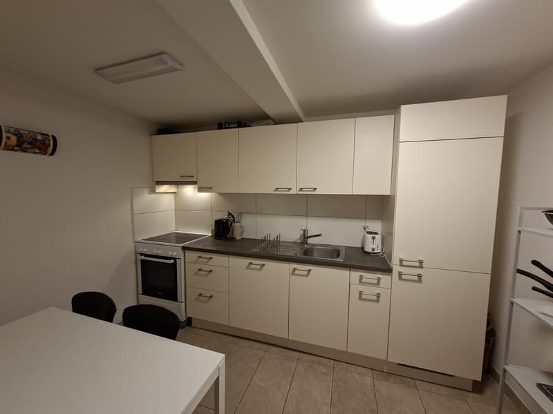 74m² appartment in Altstetten (3)