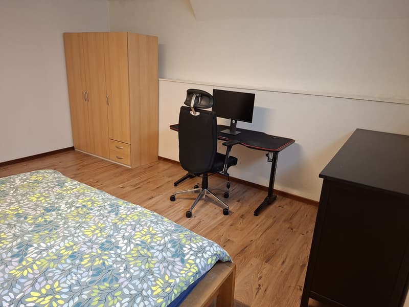 74m² appartment in Altstetten (10)