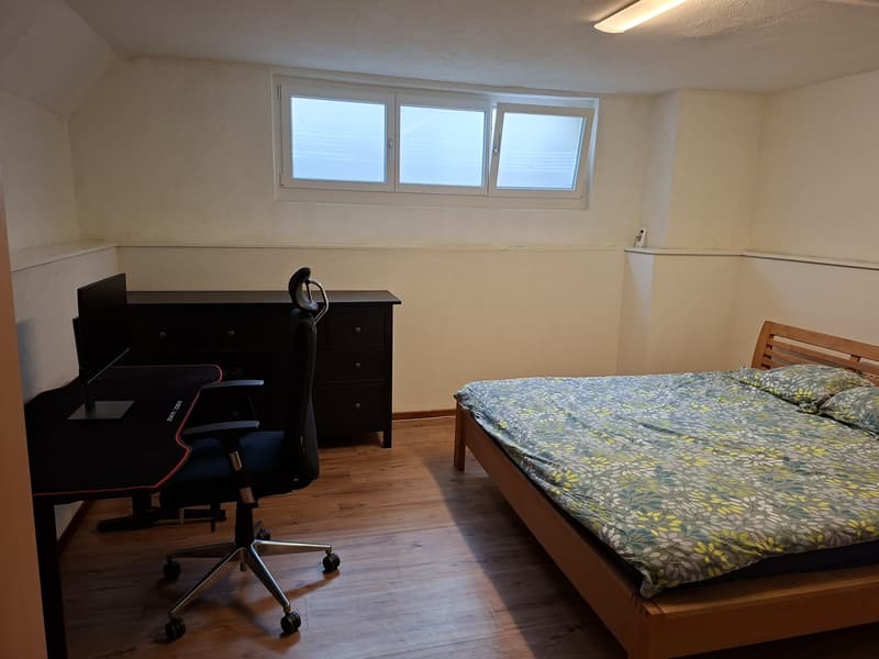 74m² appartment in Altstetten (9)