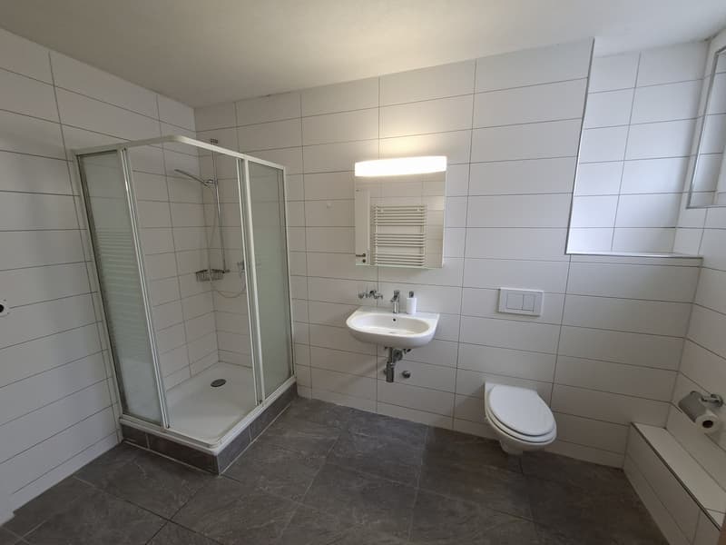 74m² appartment in Altstetten (8)
