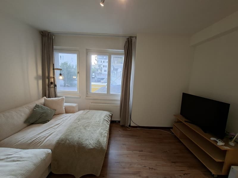 74m² appartment in Altstetten (2)