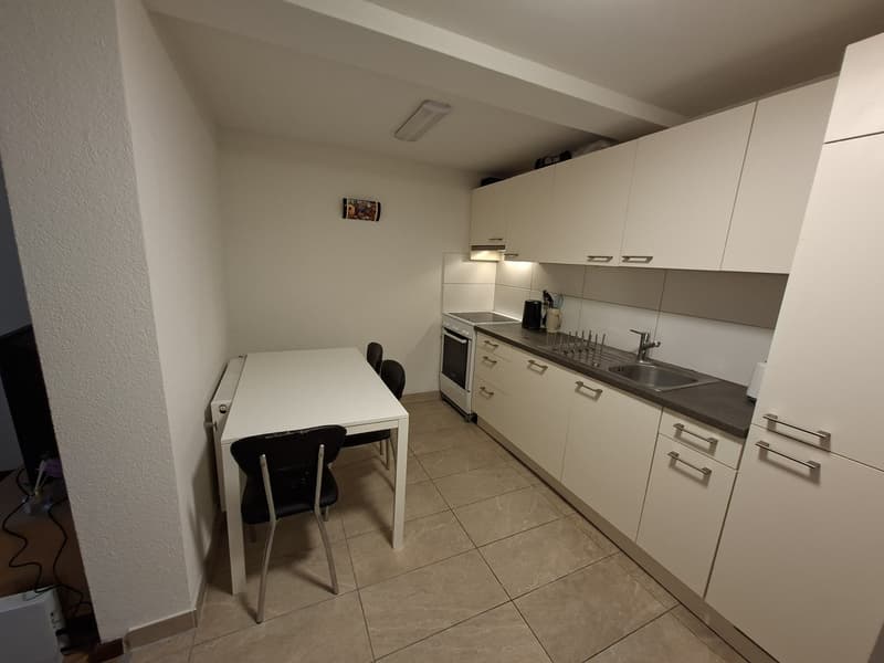 74m² appartment in Altstetten (5)