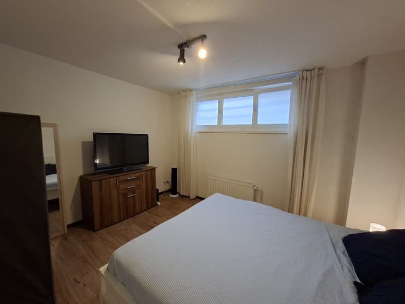 74m² appartment in Altstetten (6)