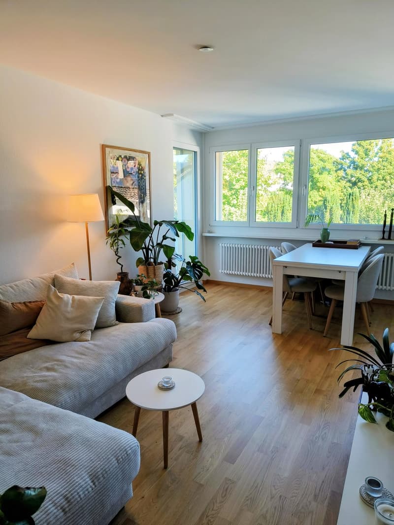 2 ½ Zimmer-Wohnung, 8408 Winterthur (1)