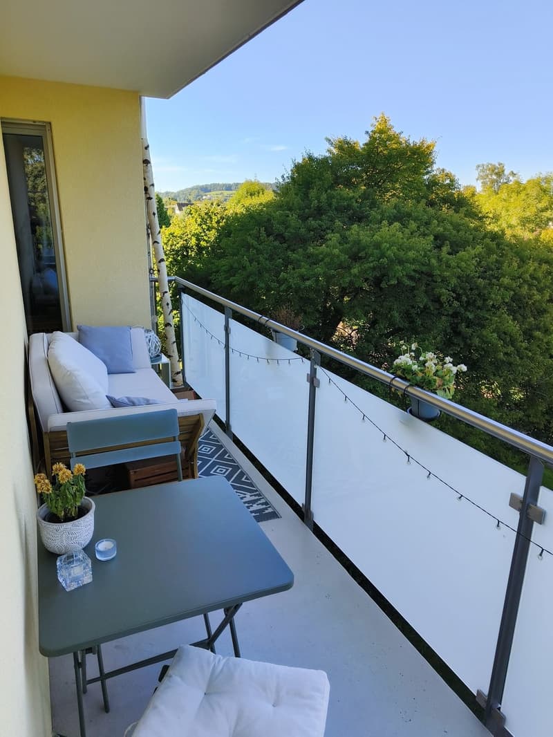 2 ½ Zimmer-Wohnung, 8408 Winterthur (4)