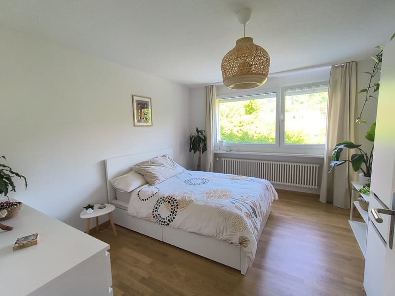 2 ½ Zimmer-Wohnung, 8408 Winterthur (2)