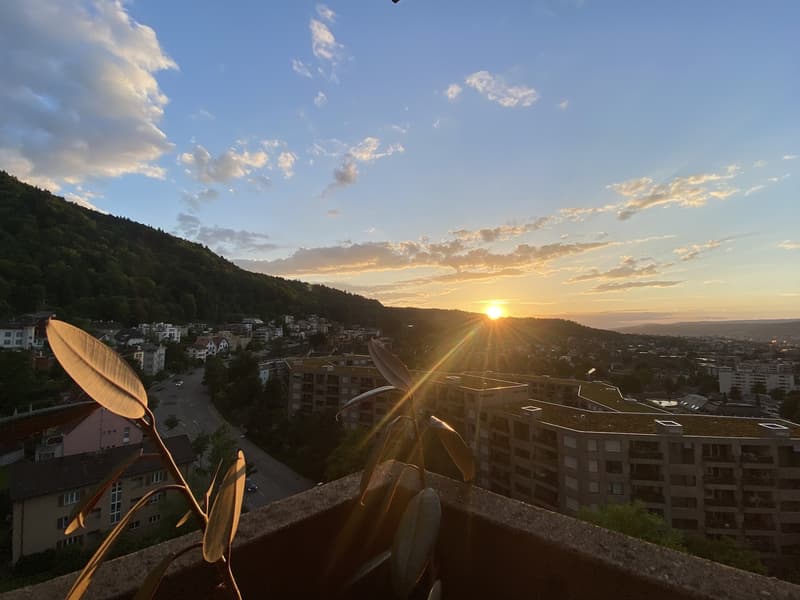2-Zimmer Wohnung im Triemli-Turm zur Untermiete (2)