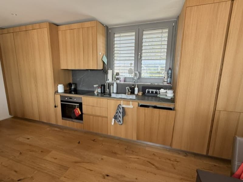 Moderne 2.5-Zimmer-Wohnung in Wallisellen  Grosser Balkon & Top-Lage! (2)