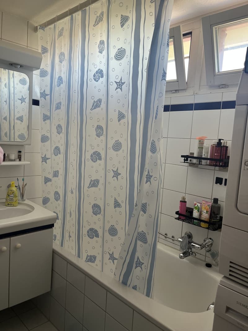 3 rooms apartment, 8280 Kreuzlingen (12)