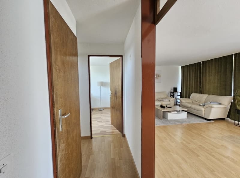 3 rooms apartment, 8280 Kreuzlingen (9)