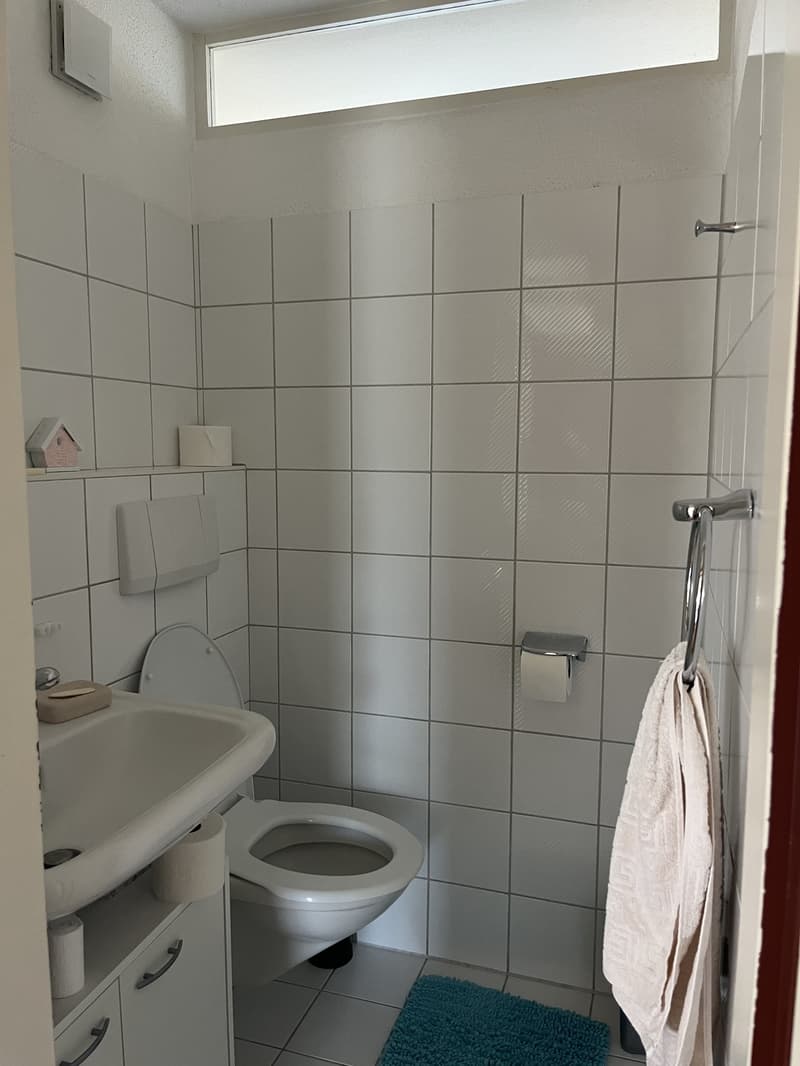 3 rooms apartment, 8280 Kreuzlingen (11)