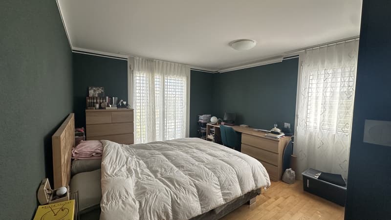 4.5-Zimmer-Erdgeschosswohnung mit direktem Zugang zum grosszügigen, gepflegten Umschwung (5)