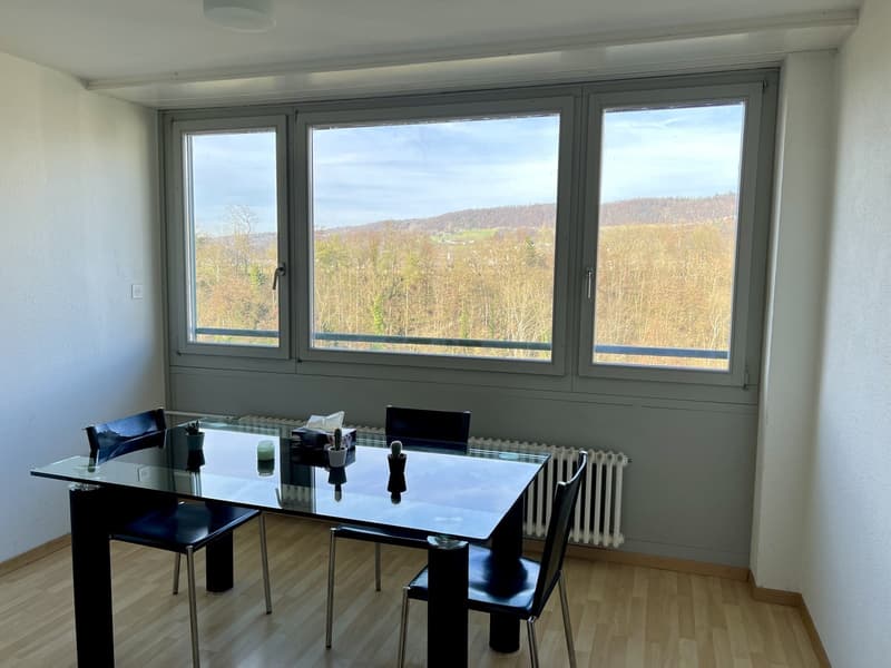 Mitbewohner/in für WG Zimmer in Baden (2)