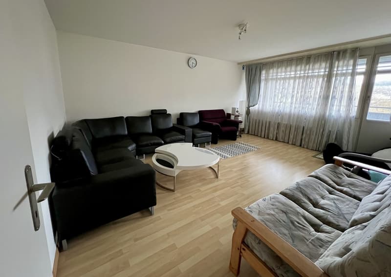 Mitbewohner/in für WG Zimmer in Baden (1)