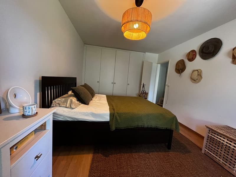 2.5 Apartment / Gemütliche Wohnung in Witikon, 15min von Central (3)