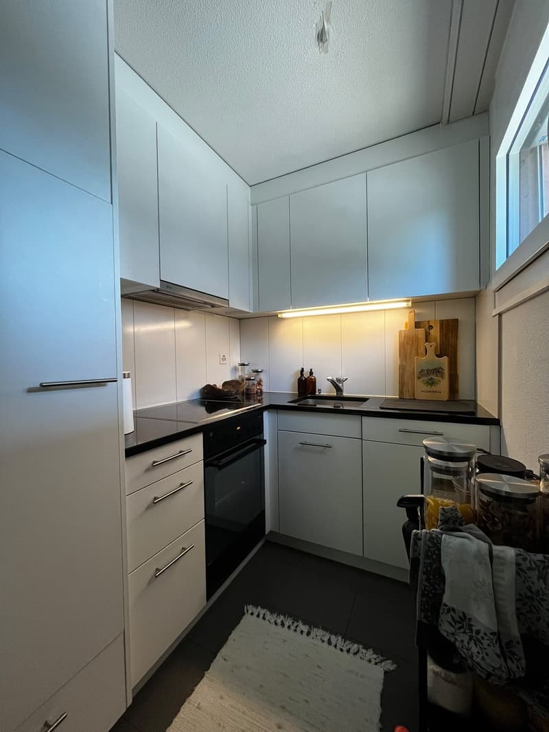 2.5 Apartment / Gemütliche Wohnung in Witikon, 15min von Central (5)