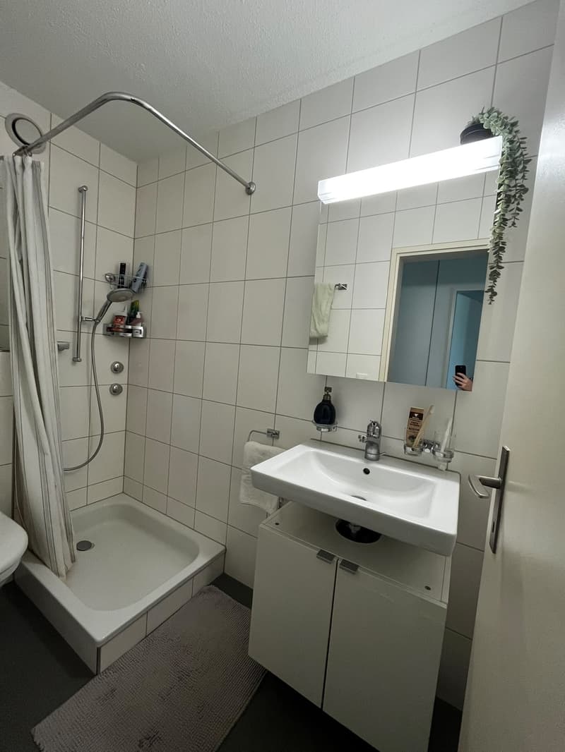2.5 Apartment / Gemütliche Wohnung in Witikon, 15min von Central (6)