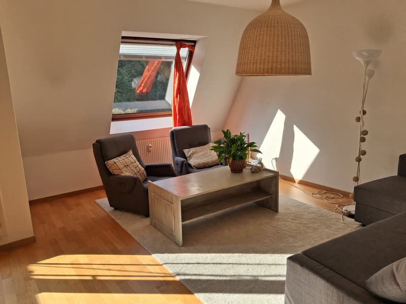 MÖBLIERTE ZWISCHENMIETE IN BASEL (1)
