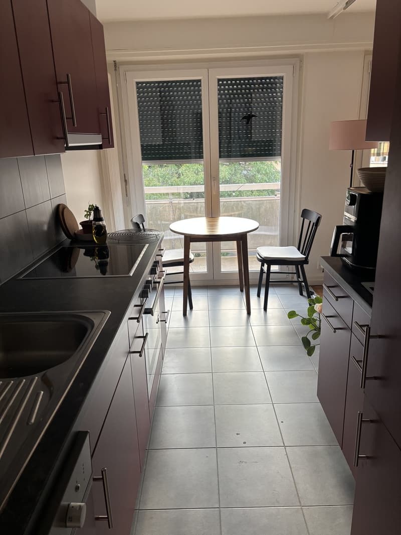 2 ½ rooms apartment, 1012 Lausanne (2)