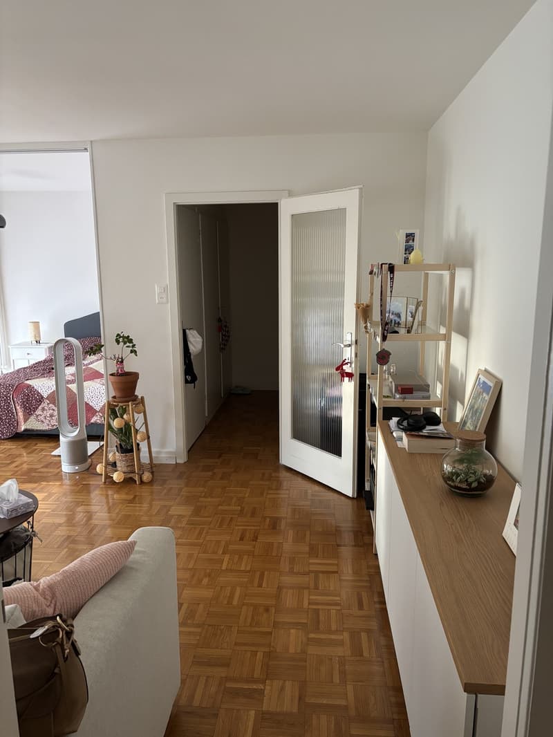 2 ½ rooms apartment, 1012 Lausanne (3)