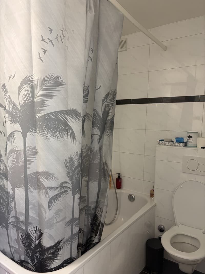 2.5 Apartment close to Rosental and Messeplatz (8)