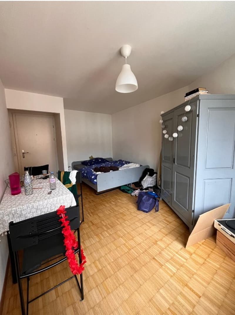 Studio zu vermieten in der Nähe der Altstadt St.Gallen (4)