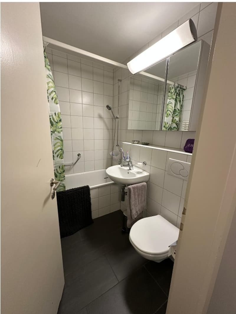 Studio zu vermieten in der Nähe der Altstadt St.Gallen (5)