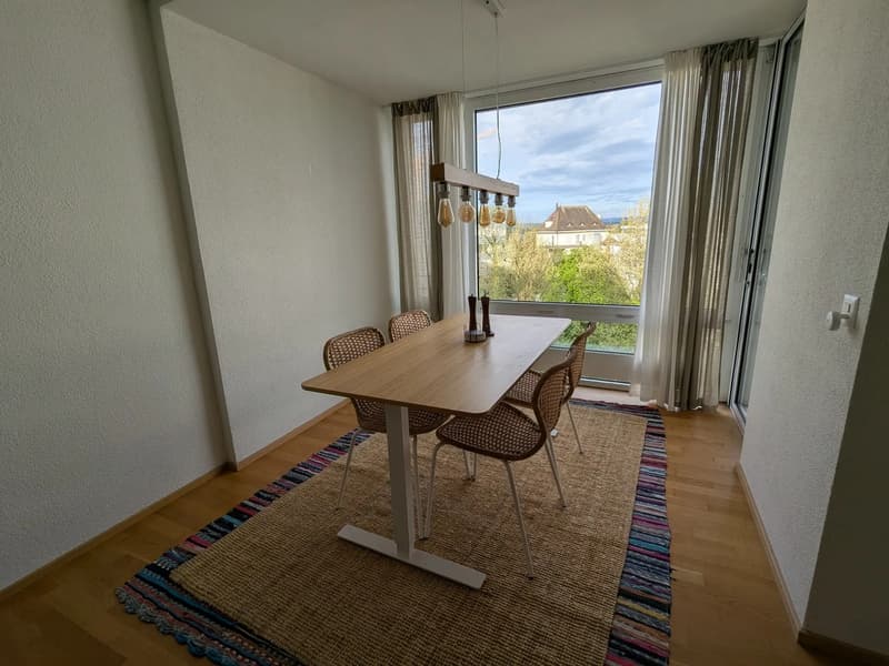 Sublet/Untervermietung: October 8 - January 15 (3)