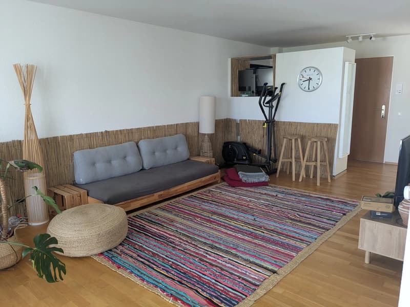Sublet/Untervermietung: October 8 - January 15 (4)