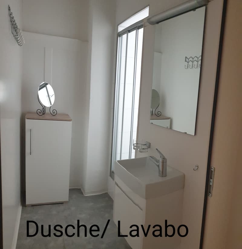 3.5 Zimmer Wohnung (5)